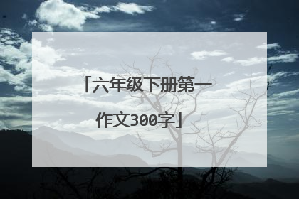 六年级下册第一作文300字