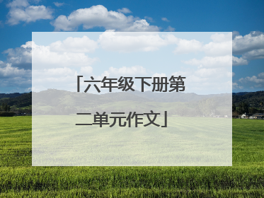 六年级下册第二单元作文