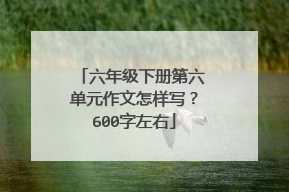 六年级下册第六单元作文怎样写?600字左右
