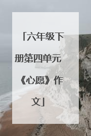 六年级下册第四单元《心愿》作文