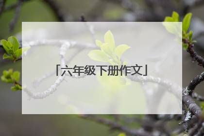 六年级下册作文