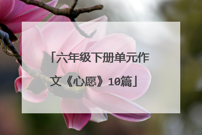 六年级下册单元作文《心愿》10篇