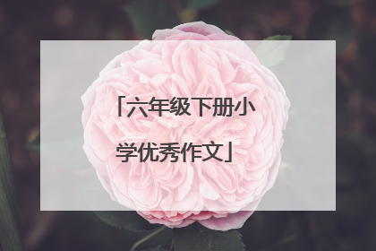 六年级下册小学优秀作文