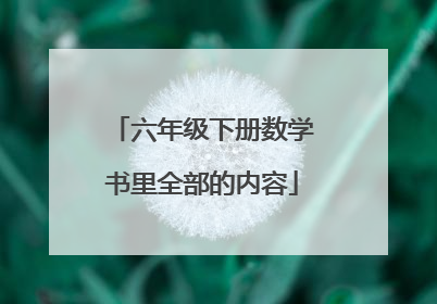 六年级下册数学书里全部的内容