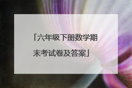 六年级下册数学期末考试卷及答案