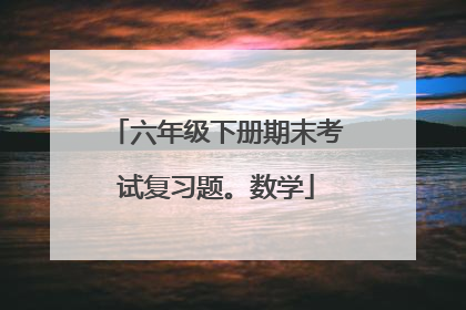 六年级下册期末考试复习题。数学