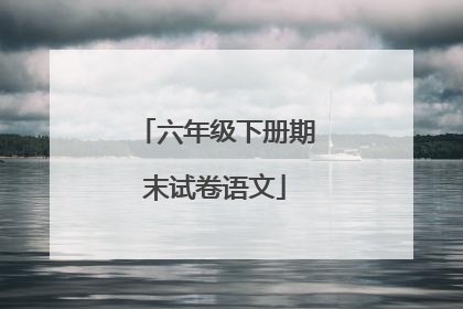 六年级下册期末试卷语文
