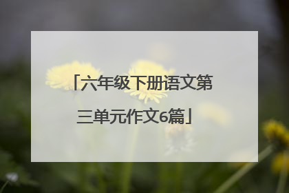 六年级下册语文第三单元作文6篇