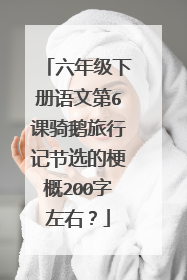 六年级下册语文第6课骑鹅旅行记节选的梗概200字左右?