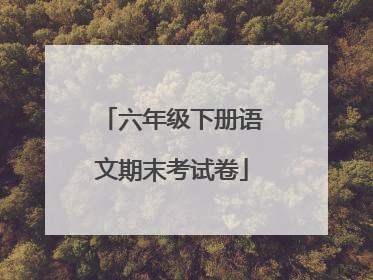 六年级下册语文期末考试卷
