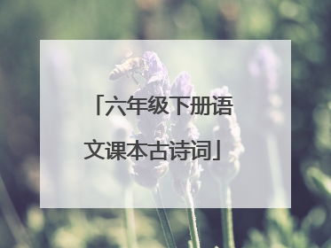 六年级下册语文课本古诗词