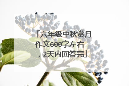 六年级中秋赏月作文600字左右，2天内回答完