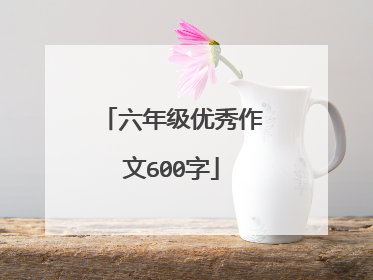 六年级优秀作文600字
