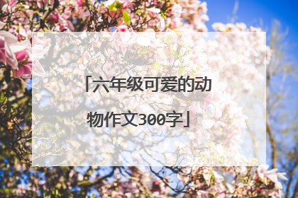 六年级可爱的动物作文300字