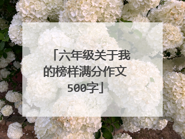 六年级关于我的榜样满分作文500字