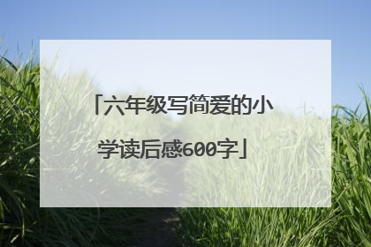 六年级写简爱的小学读后感600字