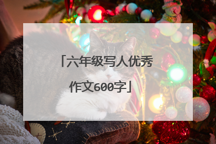 六年级写人优秀作文600字