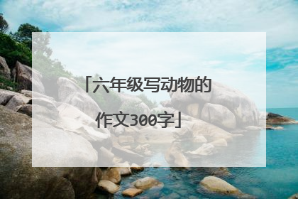 六年级写动物的作文300字