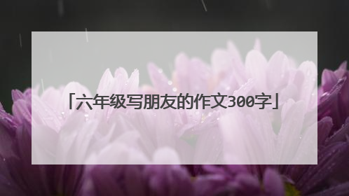 六年级写朋友的作文300字