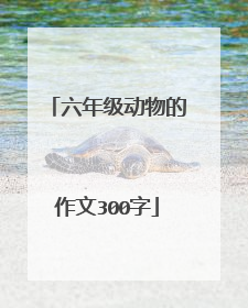 六年级动物的作文300字