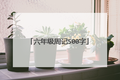 六年级周记500字
