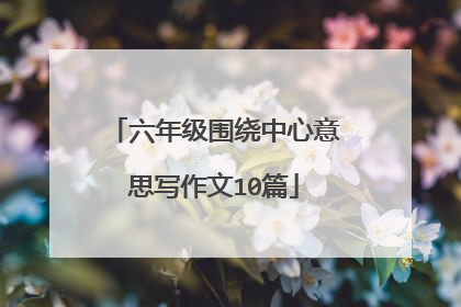六年级围绕中心意思写作文10篇