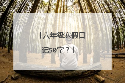 六年级寒假日记50字?