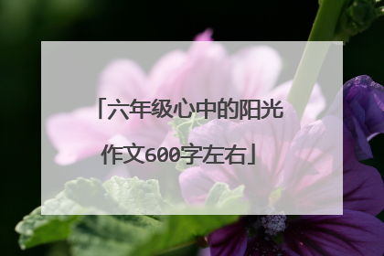 六年级心中的阳光作文600字左右