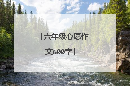 六年级心愿作文600字