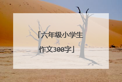 六年级小学生作文300字
