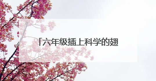 六年级插上科学的翅膀飞作文600字