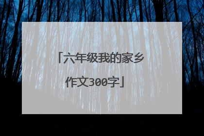 六年级我的家乡作文300字