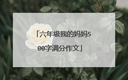 六年级我的妈妈500字满分作文