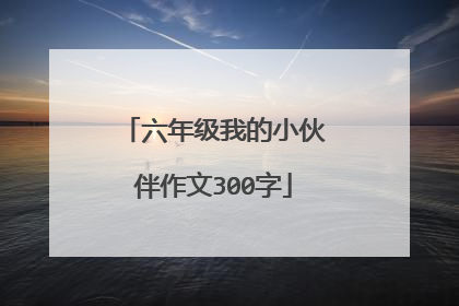 六年级我的小伙伴作文300字