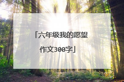 六年级我的愿望作文300字