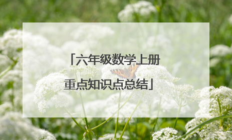 六年级数学上册重点知识点总结