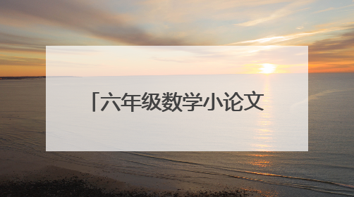 六年级数学小论文(600字左右)