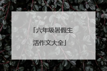 六年级暑假生活作文大全