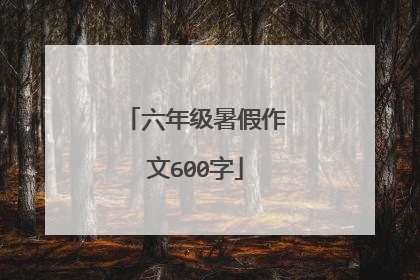 六年级暑假作文600字