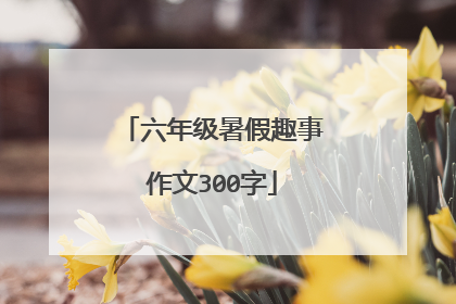 六年级暑假趣事作文300字