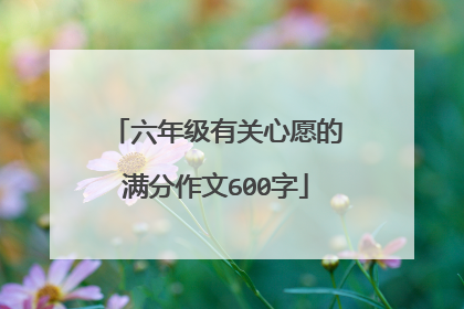 六年级有关心愿的满分作文600字