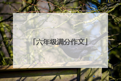 六年级满分作文