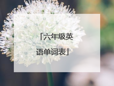 六年级英语单词表