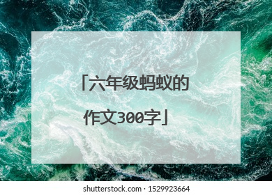 六年级蚂蚁的作文300字