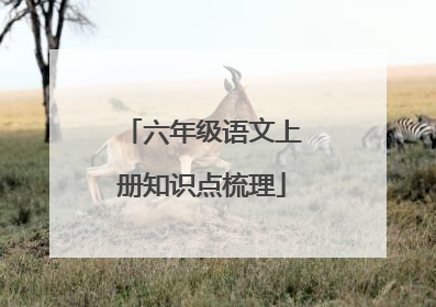 六年级语文上册知识点梳理