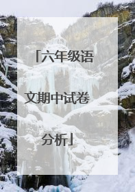 六年级语文期中试卷分析