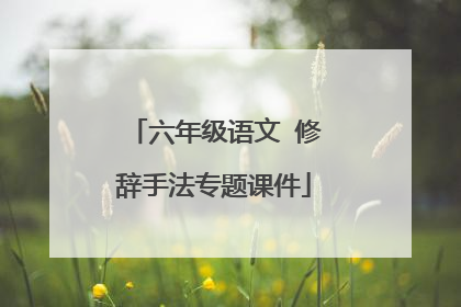 六年级语文 修辞手法专题课件