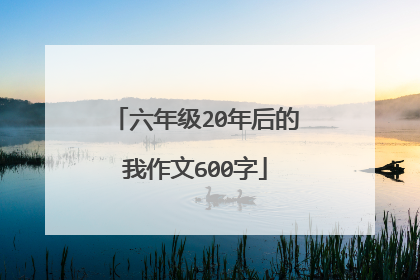 六年级20年后的我作文600字