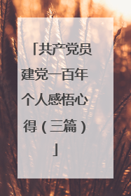 共产党员建党一百年个人感悟心得(三篇)