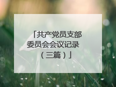 共产党员支部委员会会议记录(三篇)